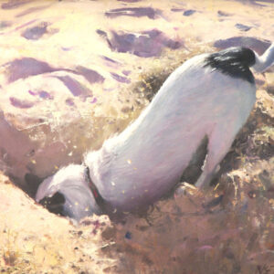 Digging for Britain NFS