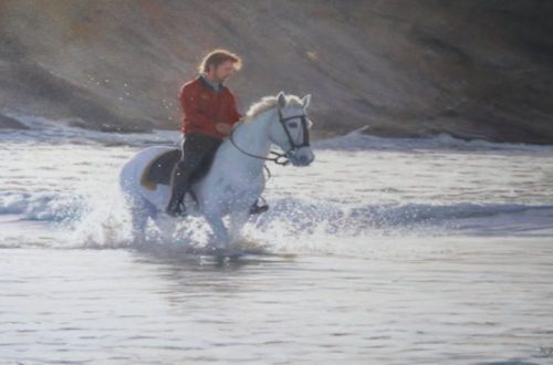 British marine art gallery online in Cornwall