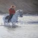 British marine art gallery online in Cornwall